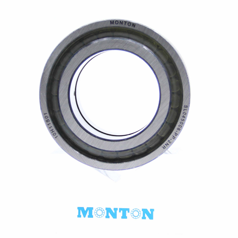 SL045008-PP-2NR Full complement cylindrical roller bearing