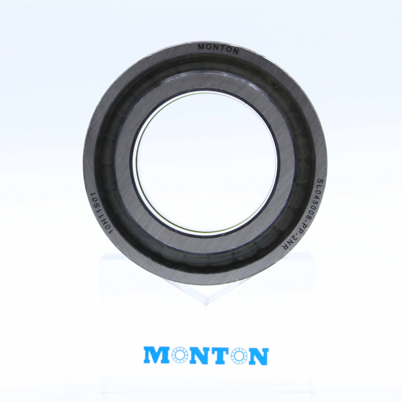 SL045008-PP-2NR Full complement cylindrical roller bearing