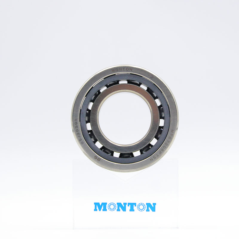 Low temperature bearing MTS7206PTSN