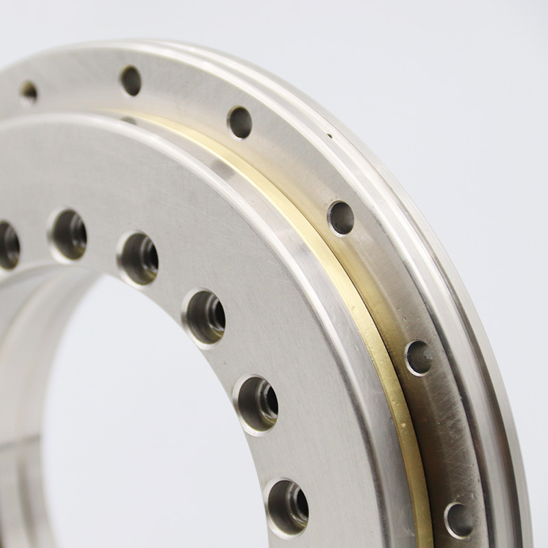 YRT100 Rotary Table Bearing