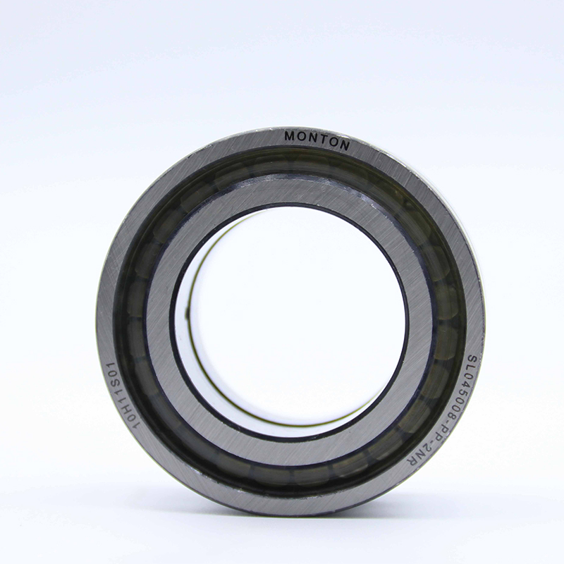 SL045008-PP-2NR Full complement cylindrical roller bearing