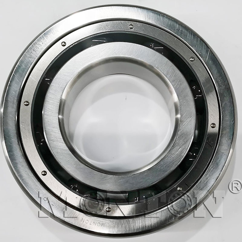 MTS6320PTSN Cryogenic bearings