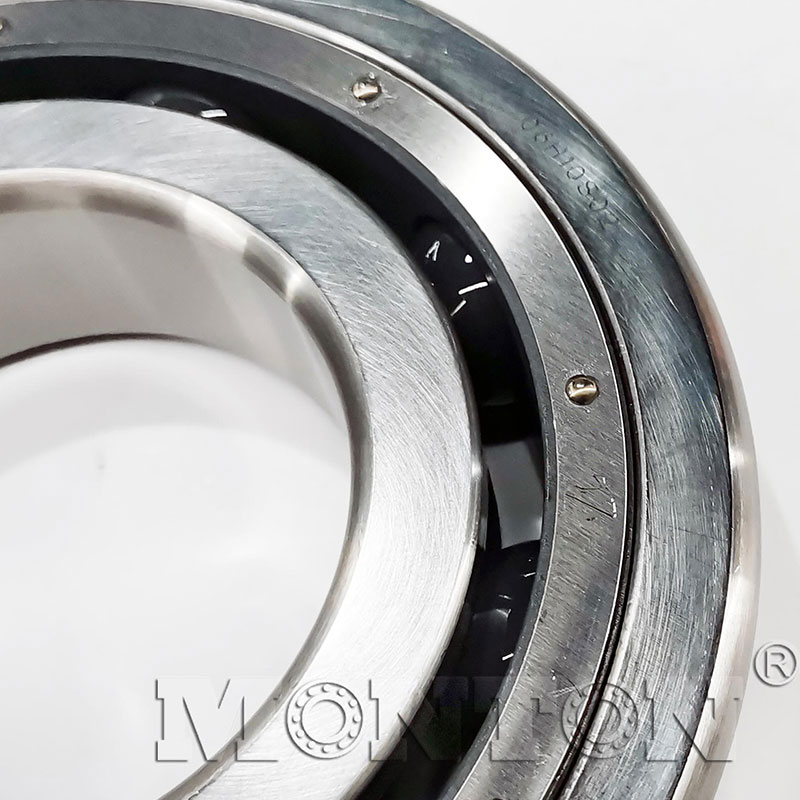 MTS6320PTSN Cryogenic bearings
