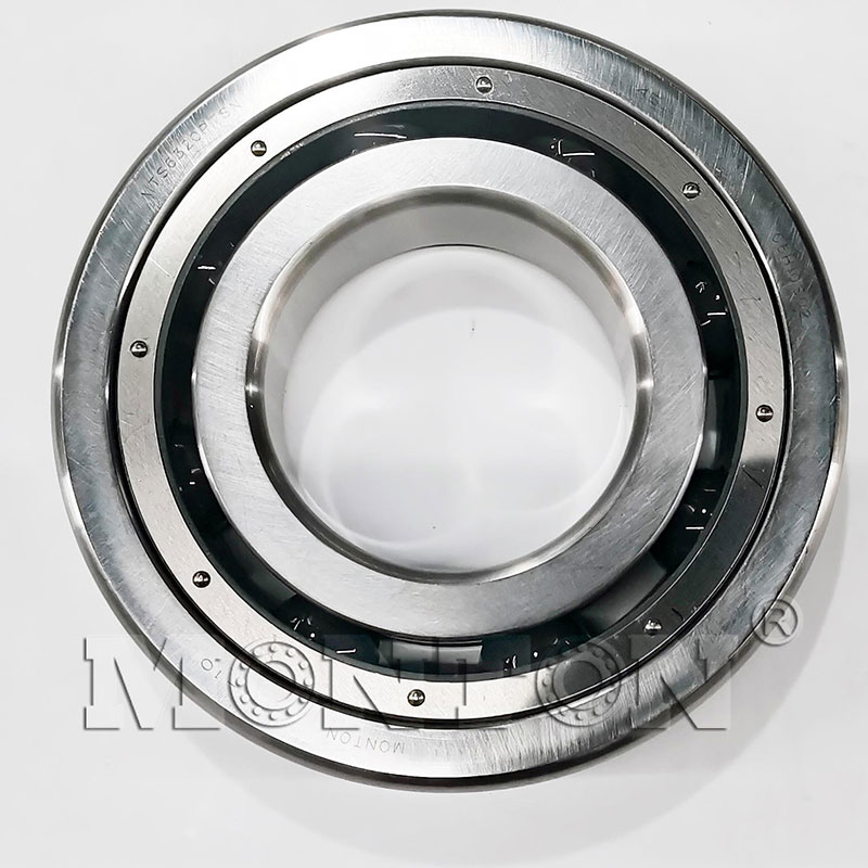 MTS6320PTSN Cryogenic bearings