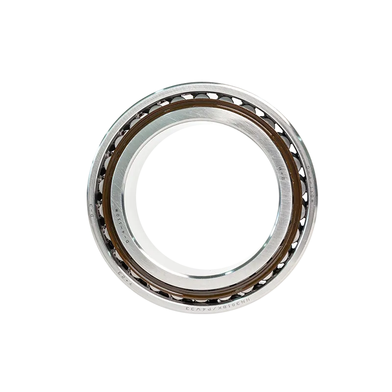 Double Row Cylindrical Roller Bearing