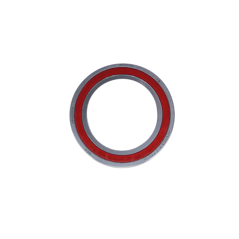 HCS70XX Small Ball Sealed Ceramic Ball Bearings