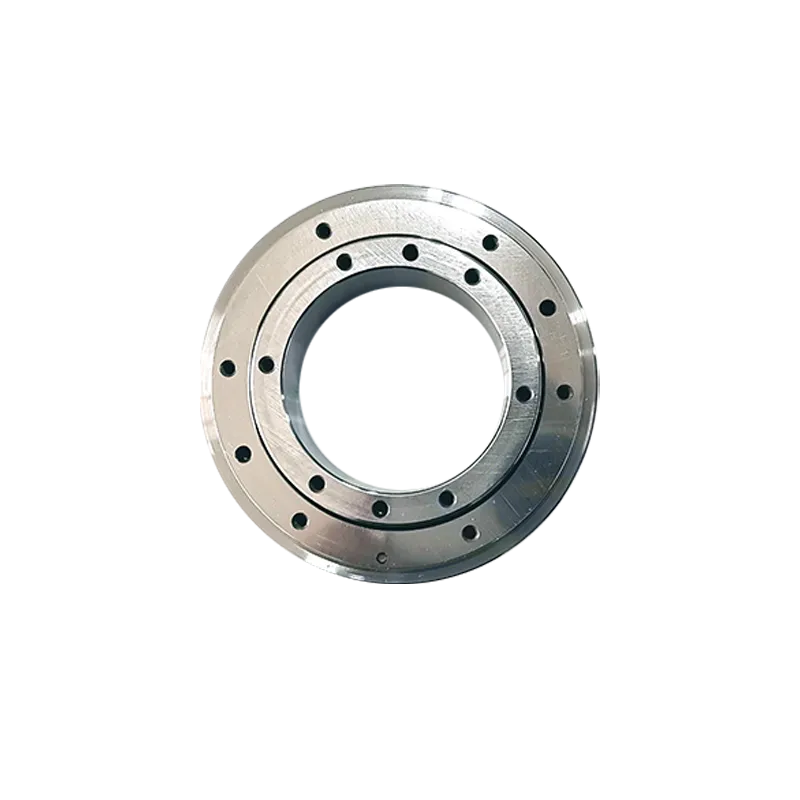 Hollow Rotary Actuator Platform bearings