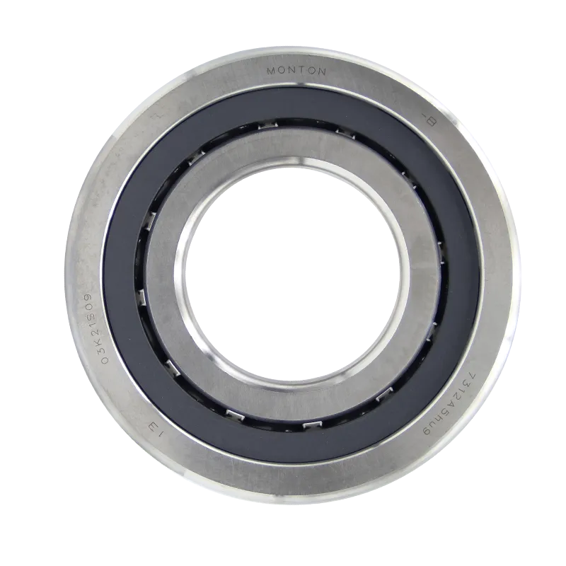 Low Temperature  Angular Contact Ball Bearings