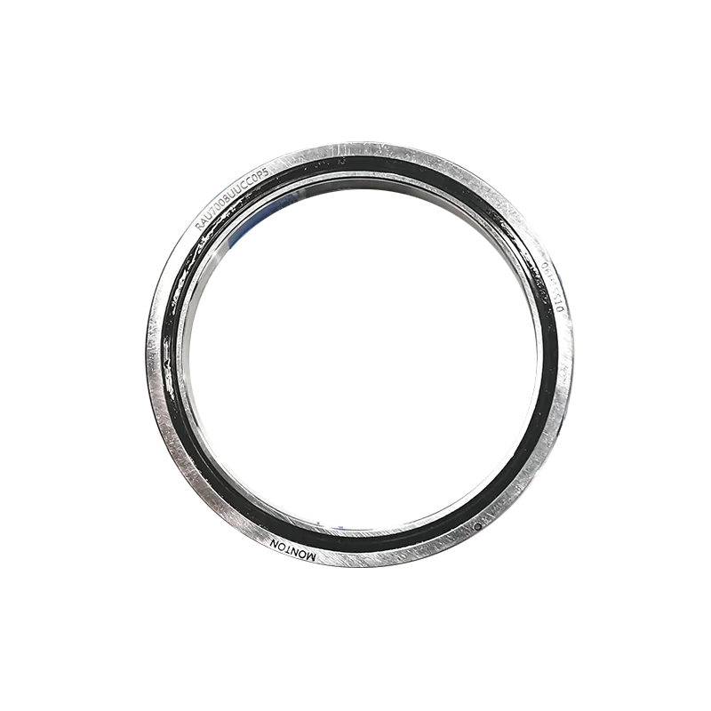 RAU micro cross roller ring Bearings