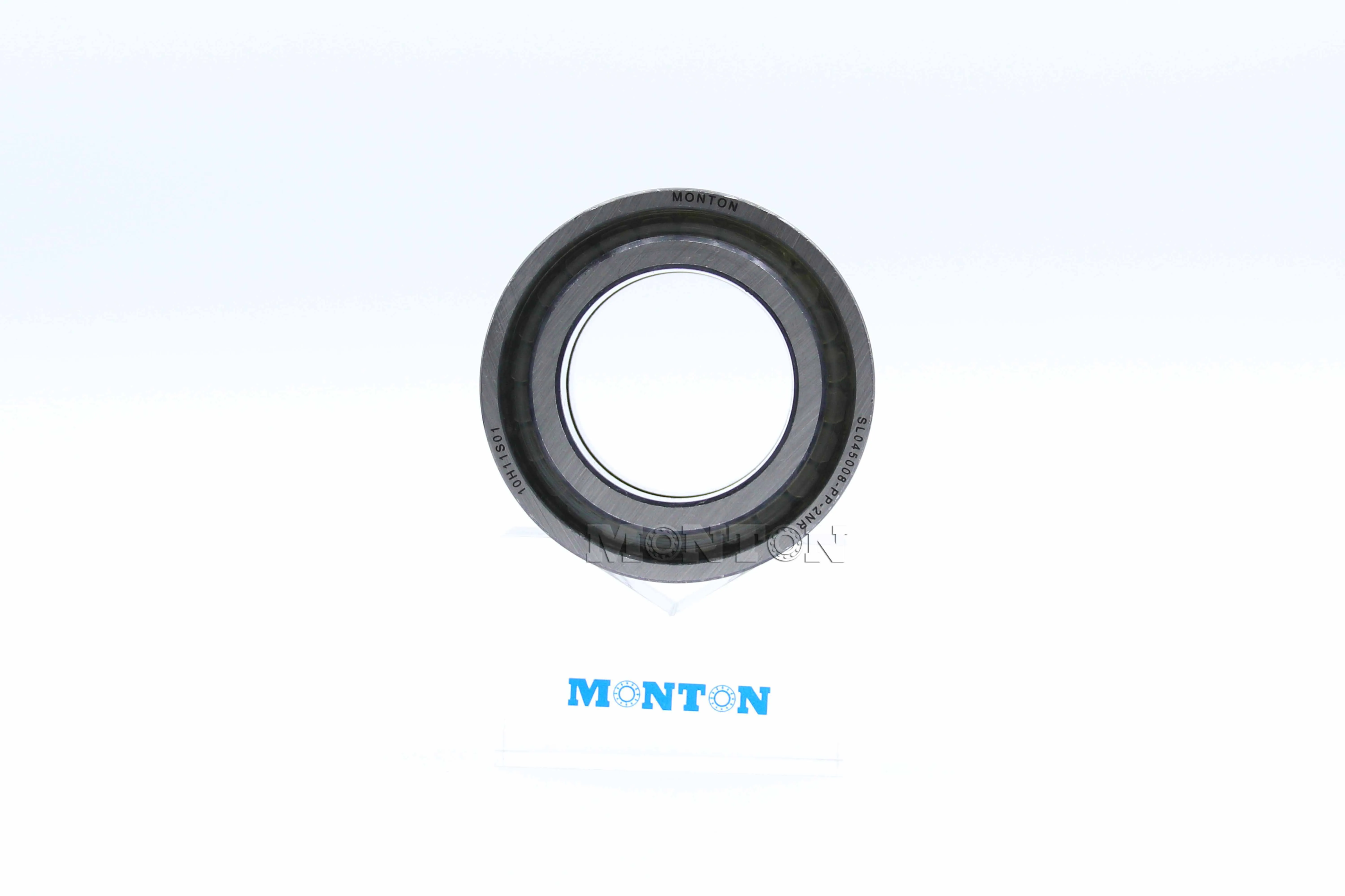 SL045008-PP-2NR Full complement cylindrical roller bearing
