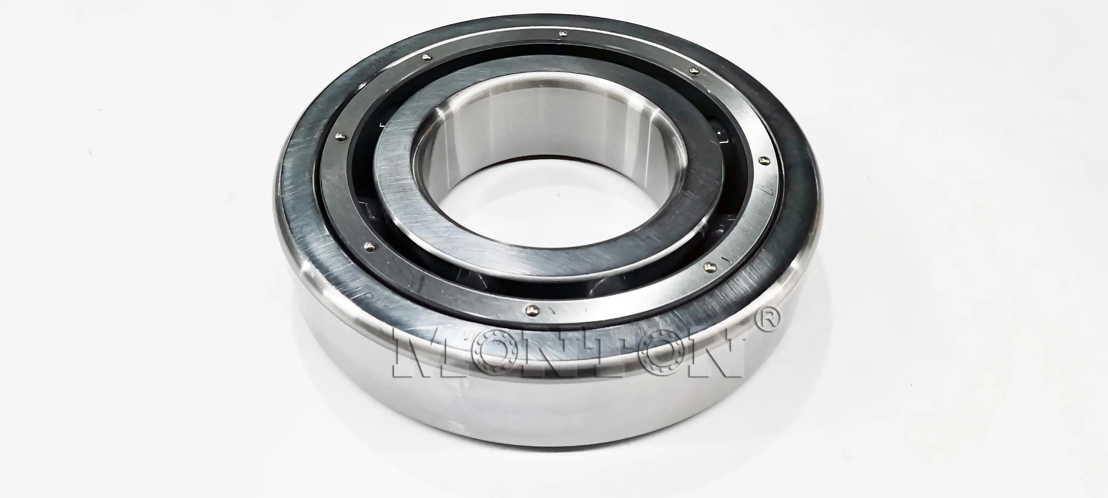 MTS6320PTSN Cryogenic bearings