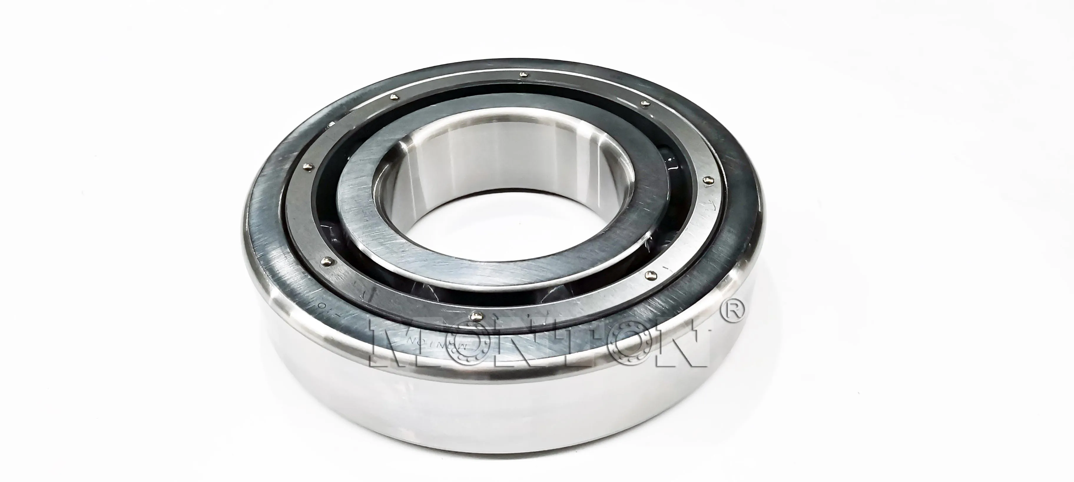 MTS6320PTSN Cryogenic bearings