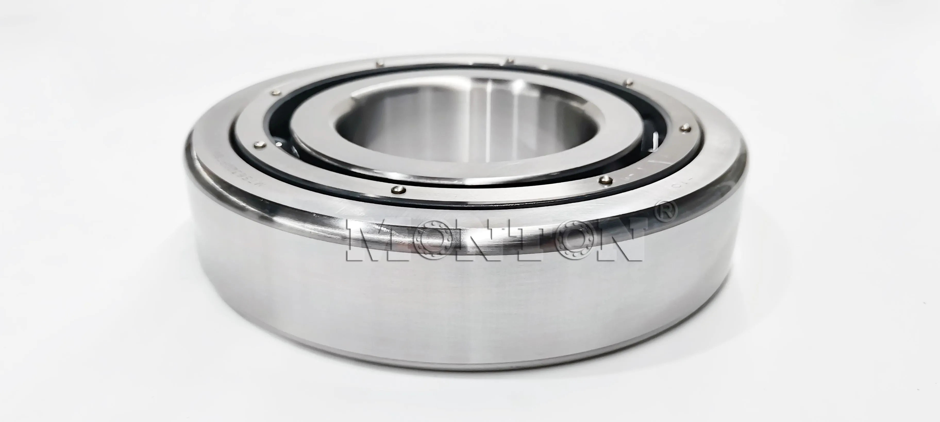 MTS6320PTSN Cryogenic bearings