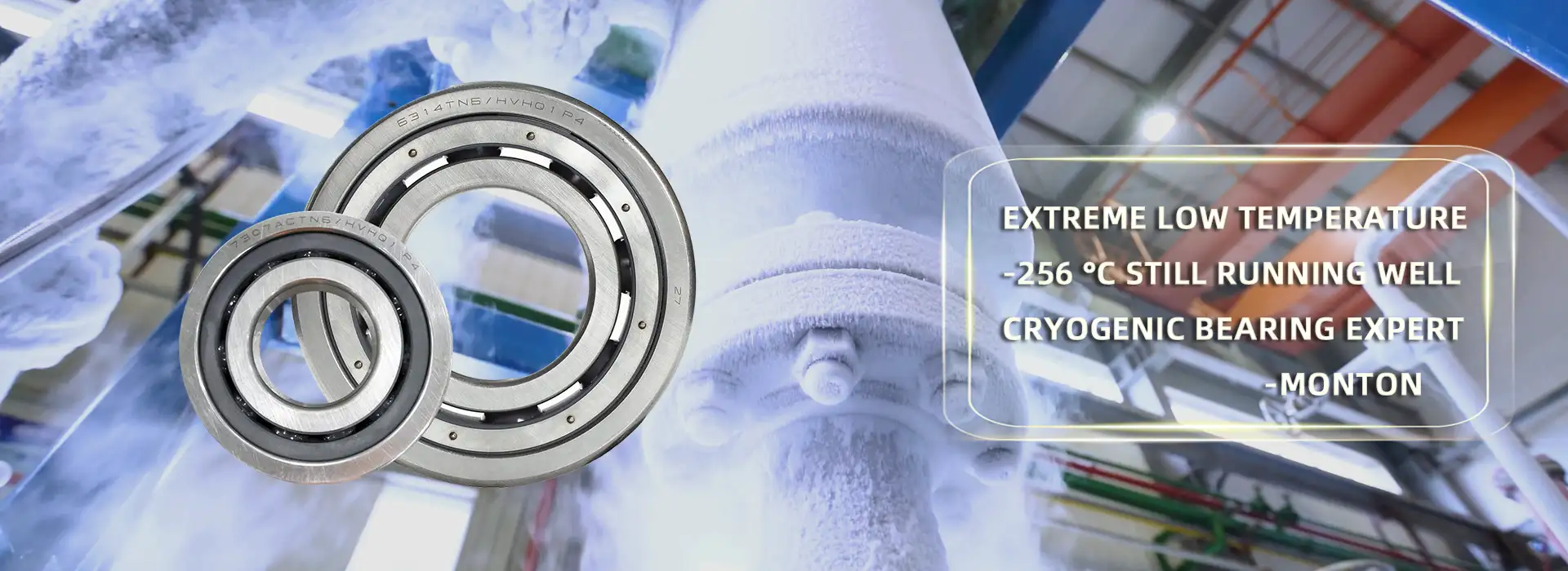 Low Temperature Bearings